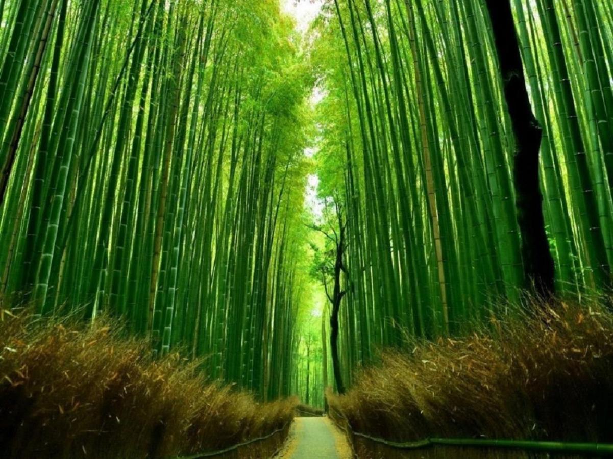 行灯離れ京都五条 Andon Hanare Kyoto Gojo Bagian luar foto